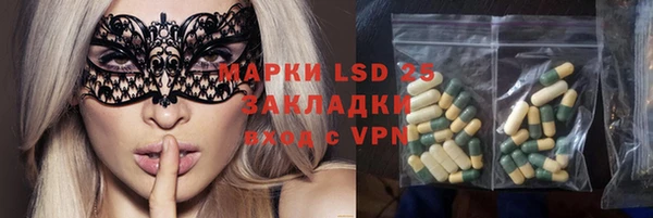 хмурый Абаза