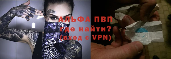 прущие грибы Осташков