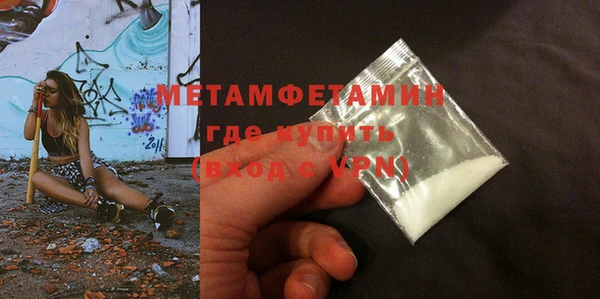 прущие грибы Осташков