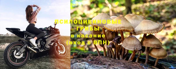 хмурый Абаза