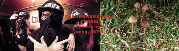 гашишное масло Осинники
