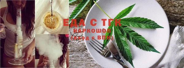 хмурый Абаза