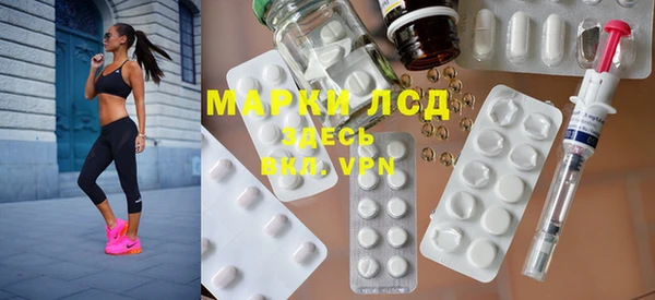 хмурый Абаза