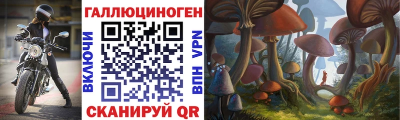 Галлюциногенные грибы мицелий MEGA как войти Суоярви
